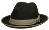 OLIVE OLIVE