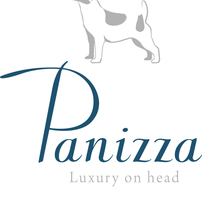 Introducing Panizza!