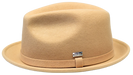 TAN