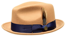 ACORN