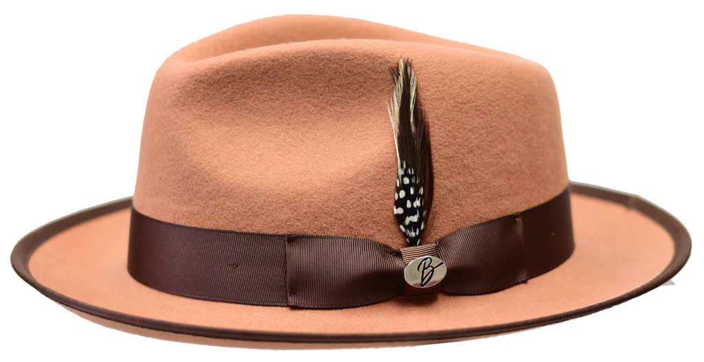 CAMEL/BROWN
