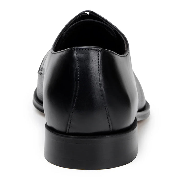 Alexander Calfskin Shoe by Studio Belvedere