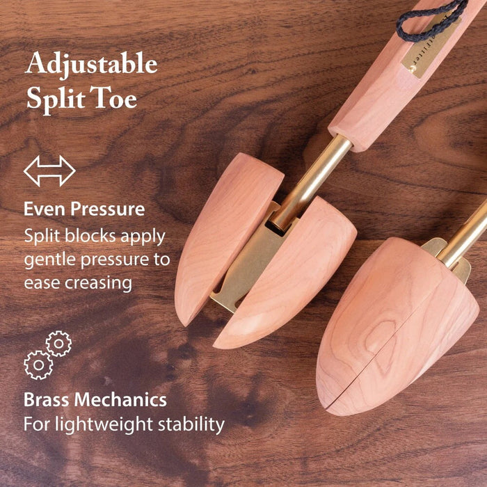 AROMATIC CEDAR