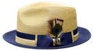 NAVY/CAMEL