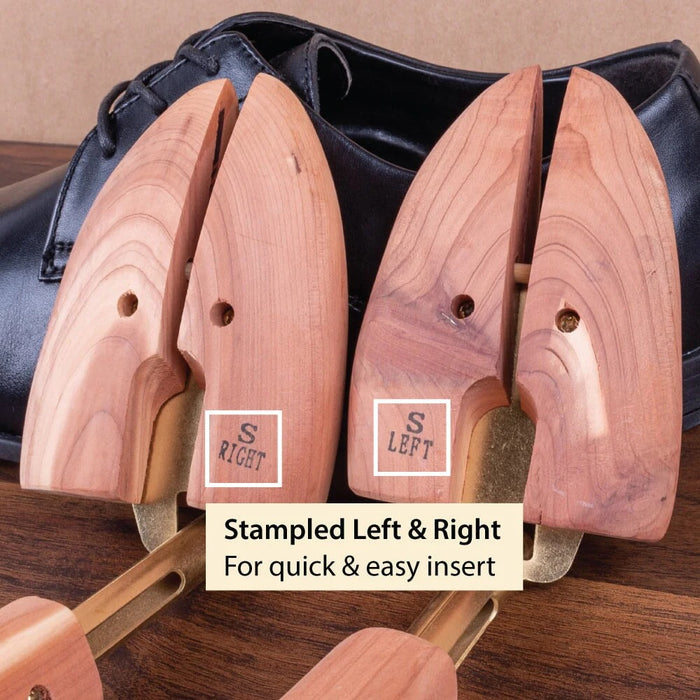 AROMATIC CEDAR