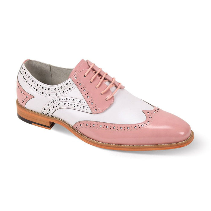 Troy Two Tone Spectator by Giovanni