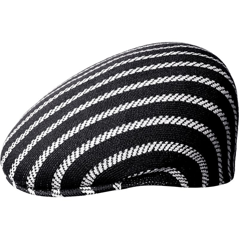 Twist Stripe 504 Cap by Kangol