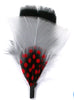 Matching Hat Feather (Single Hat Feather)